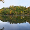 紅葉風景