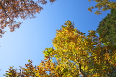 晩秋の空 その２