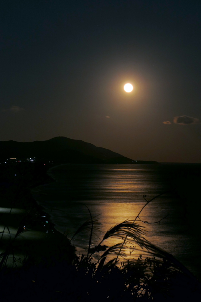 十五夜の月
