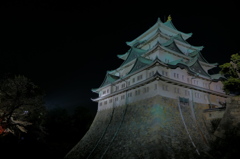 夜の名古屋城と桜（2）