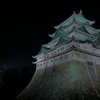 夜の名古屋城と桜（2）