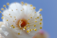 春色 空色