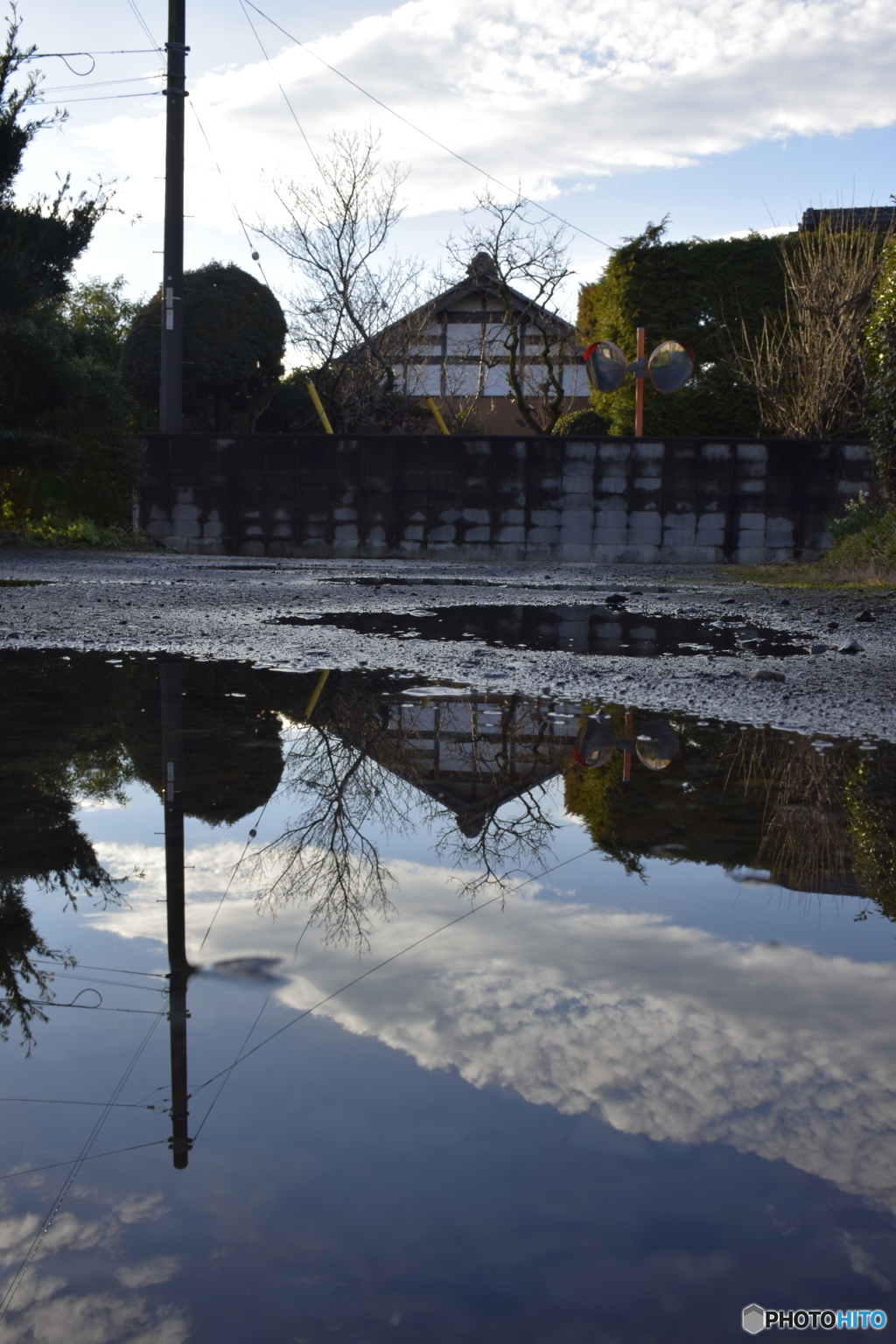 庭の水溜り