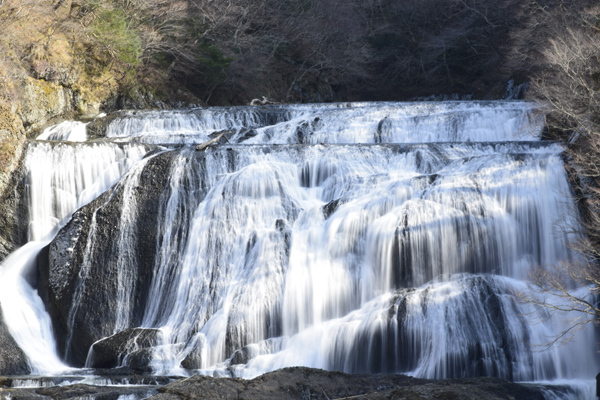 袋田の滝