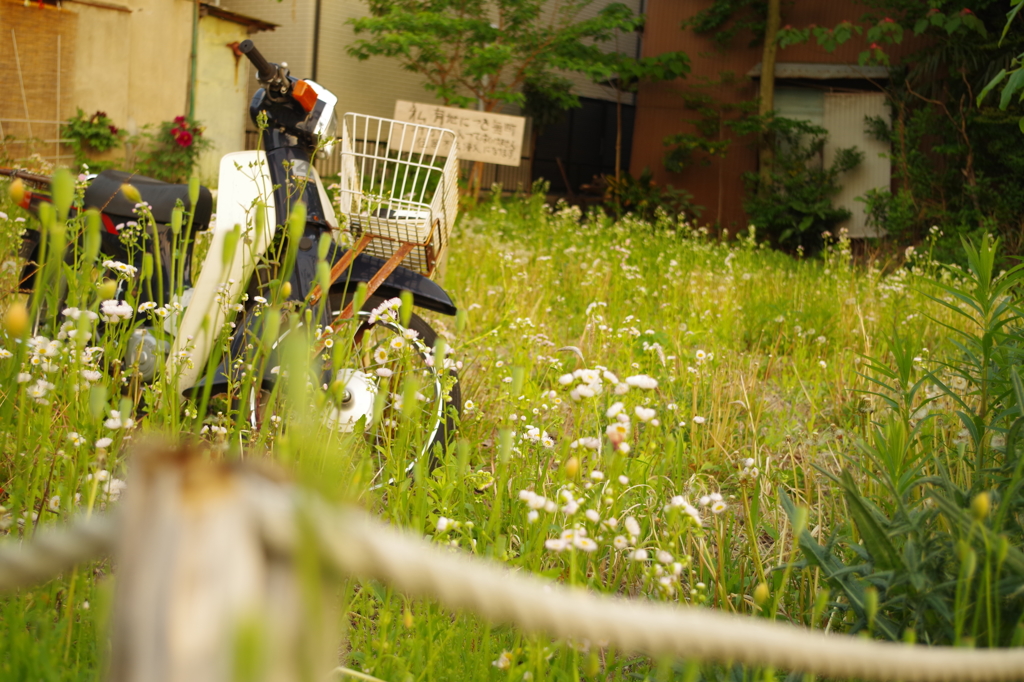 どんな気持ちなの