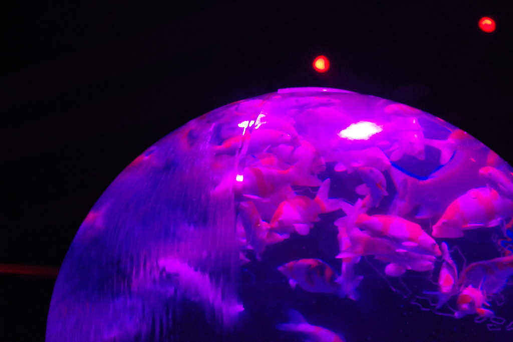 アートアクアリウム２