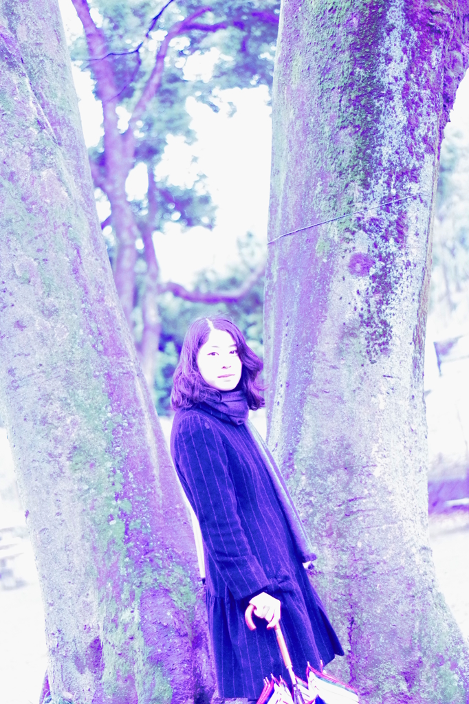無題