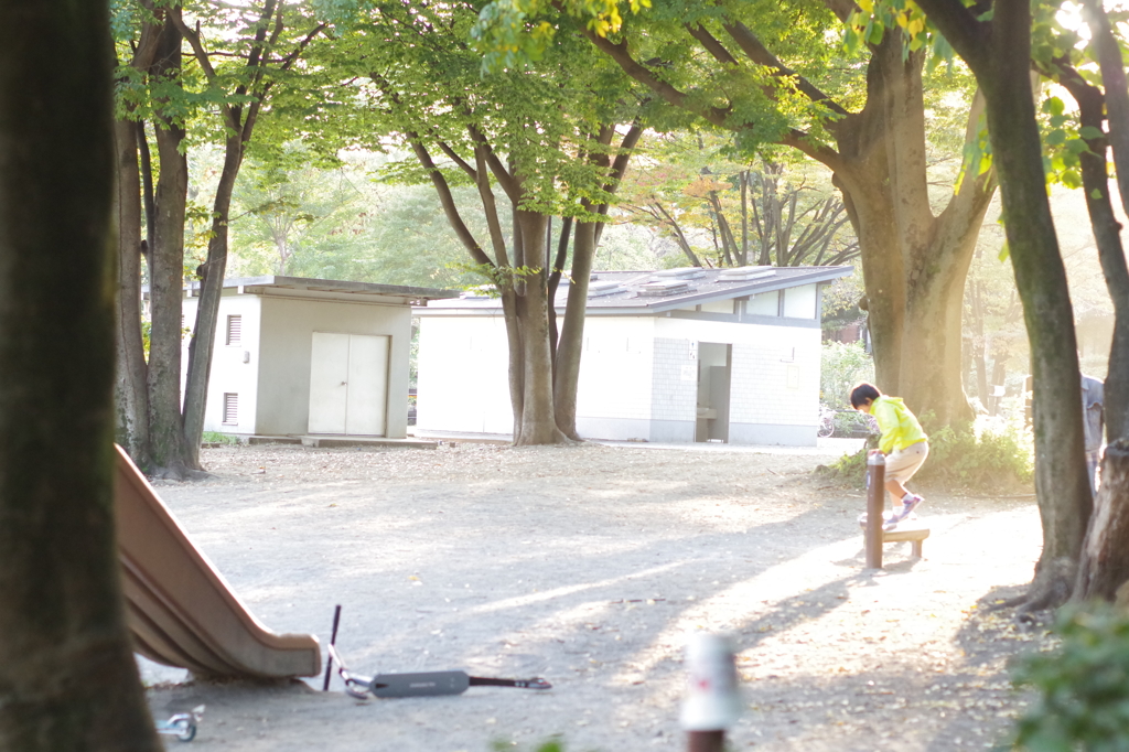 ある日の公園