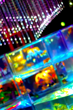 アートアクアリウム１