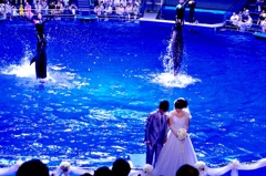 水族館で結婚式。