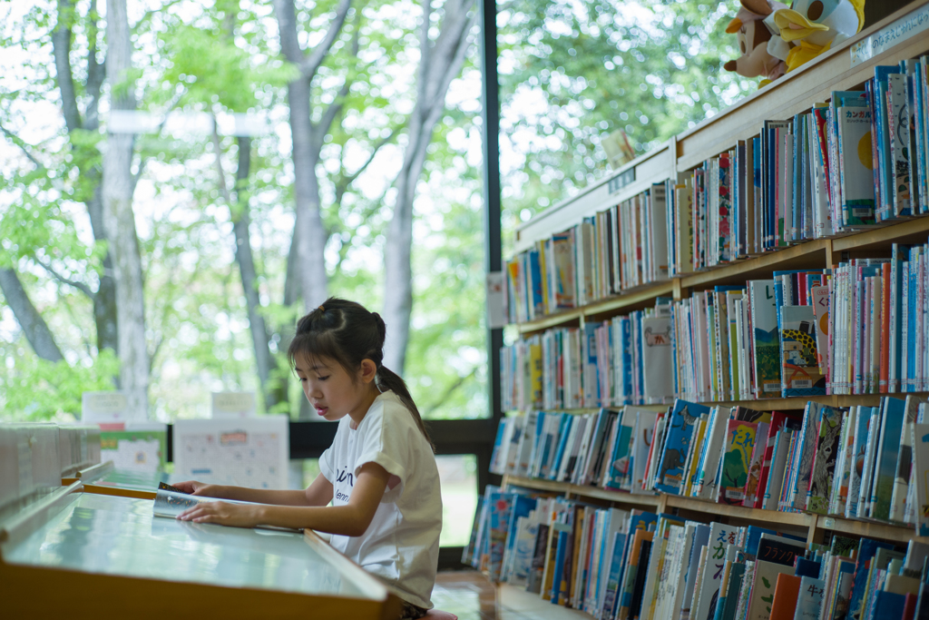 森の図書館