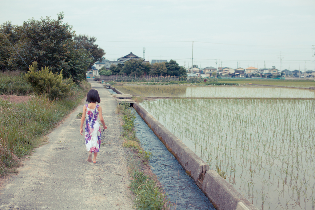 田舎道
