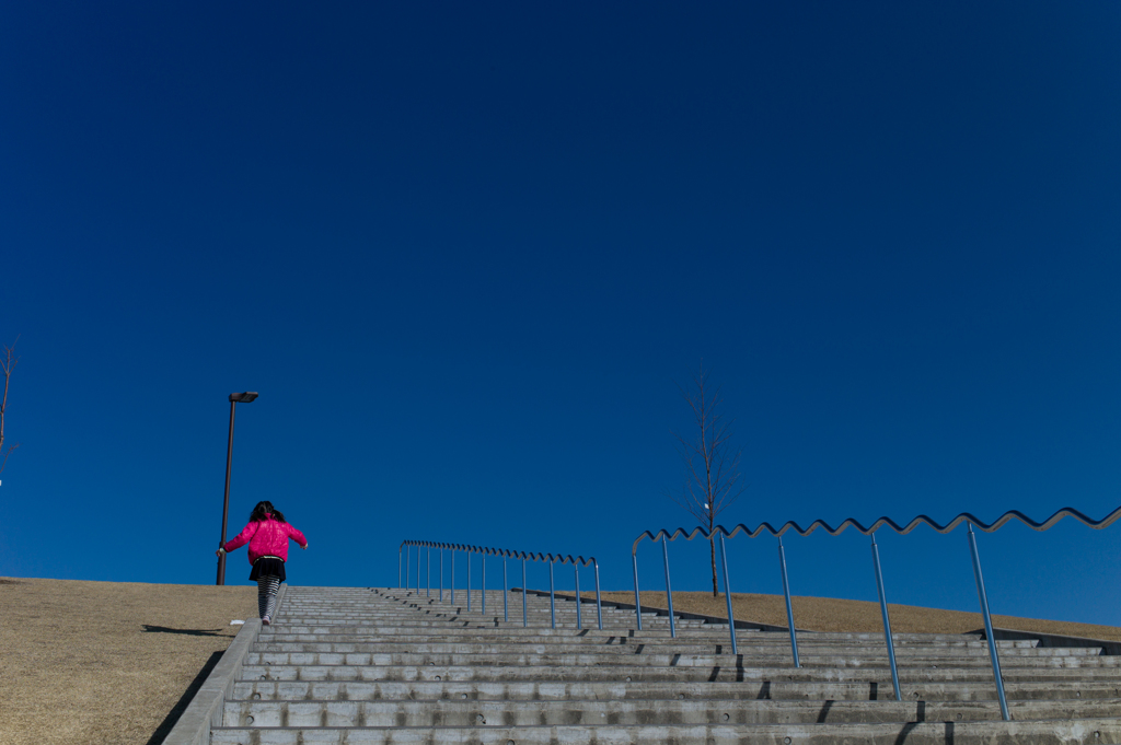 stairway to the blue sky