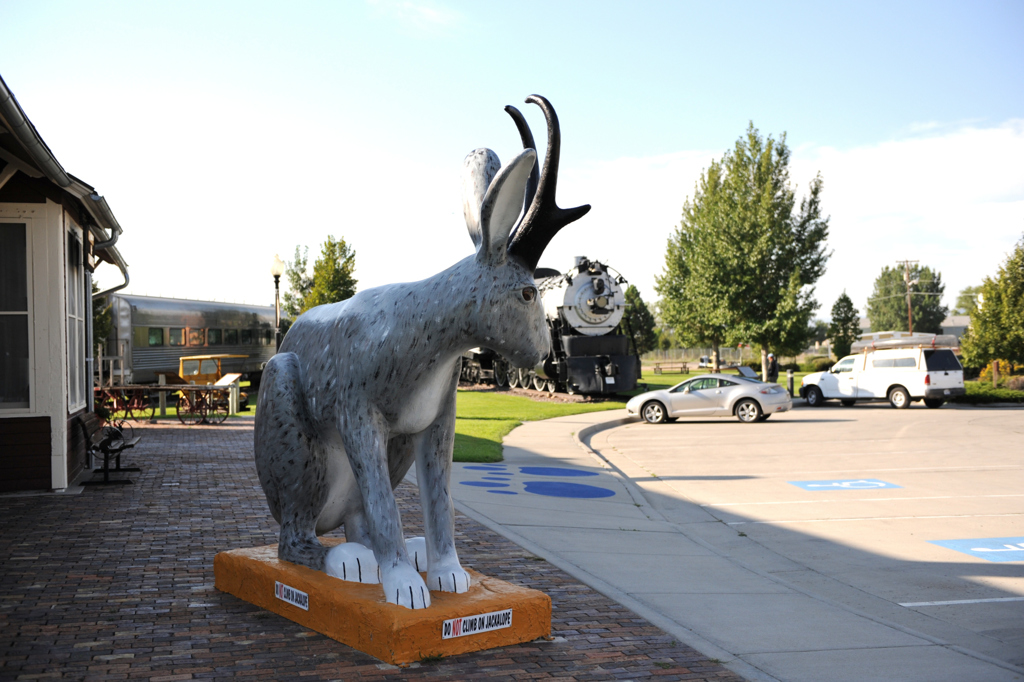 jackalope