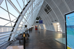 Avignon