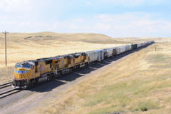 Cheyenne