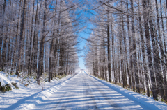 Winter road