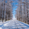 Winter road