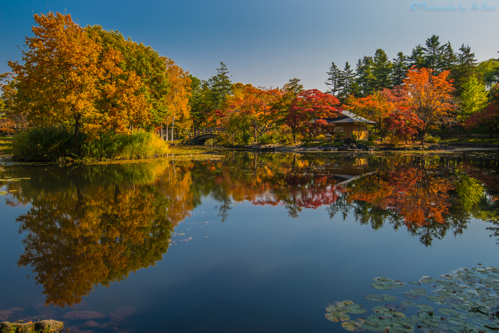 秋の庭園