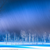  Winter storm〜青い池ライトアップ
