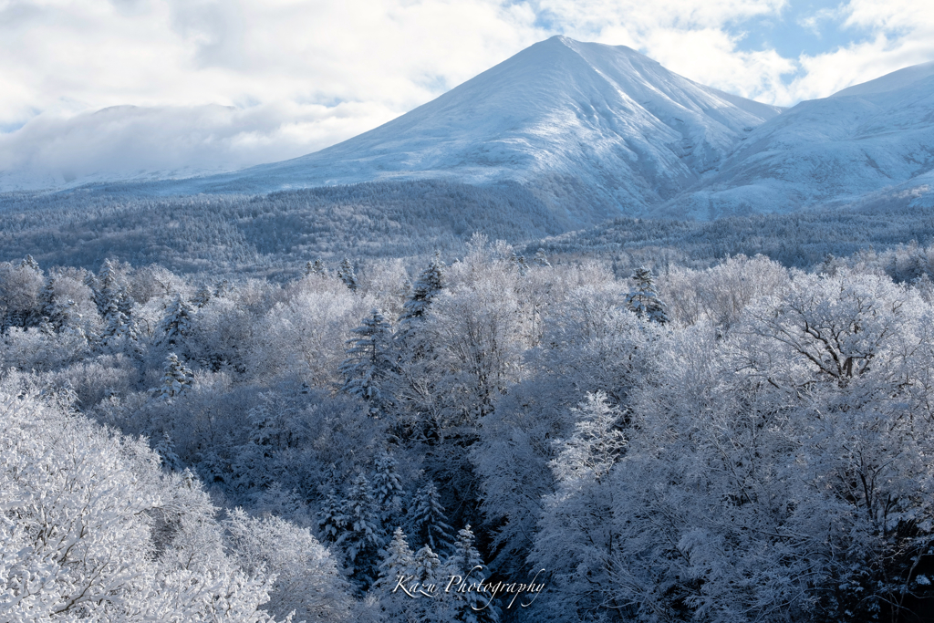 雪化粧