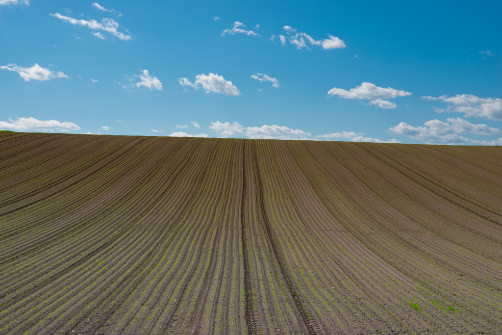 Farmer's art