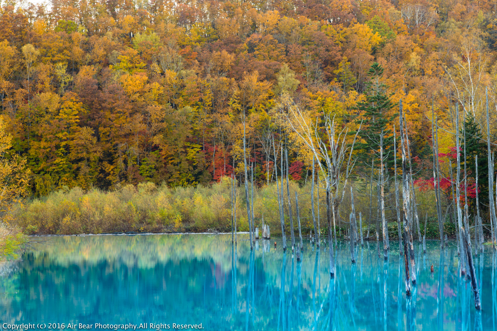 Blue pond in autumn