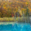 Blue pond in autumn