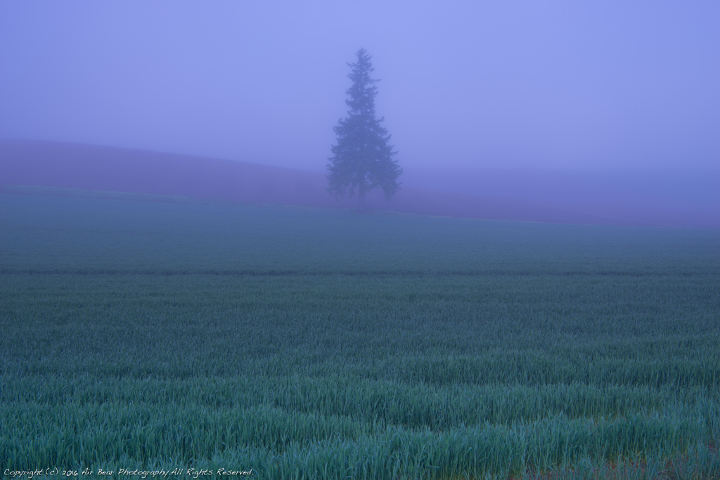 MIST