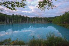 Blue Pond