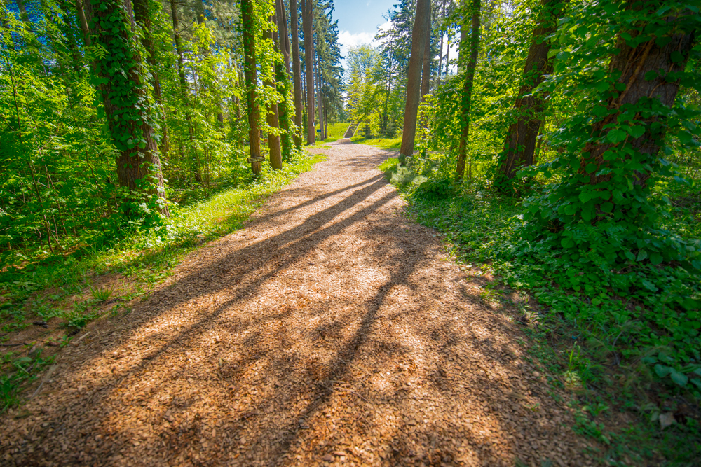 緑は落ち着きます