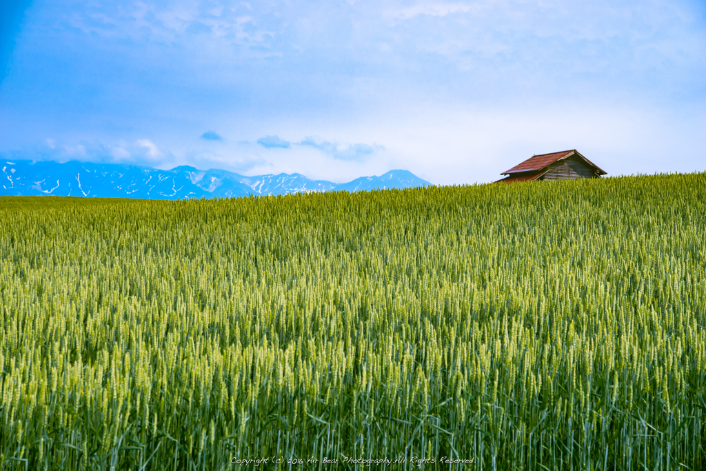  Mountains and red roof