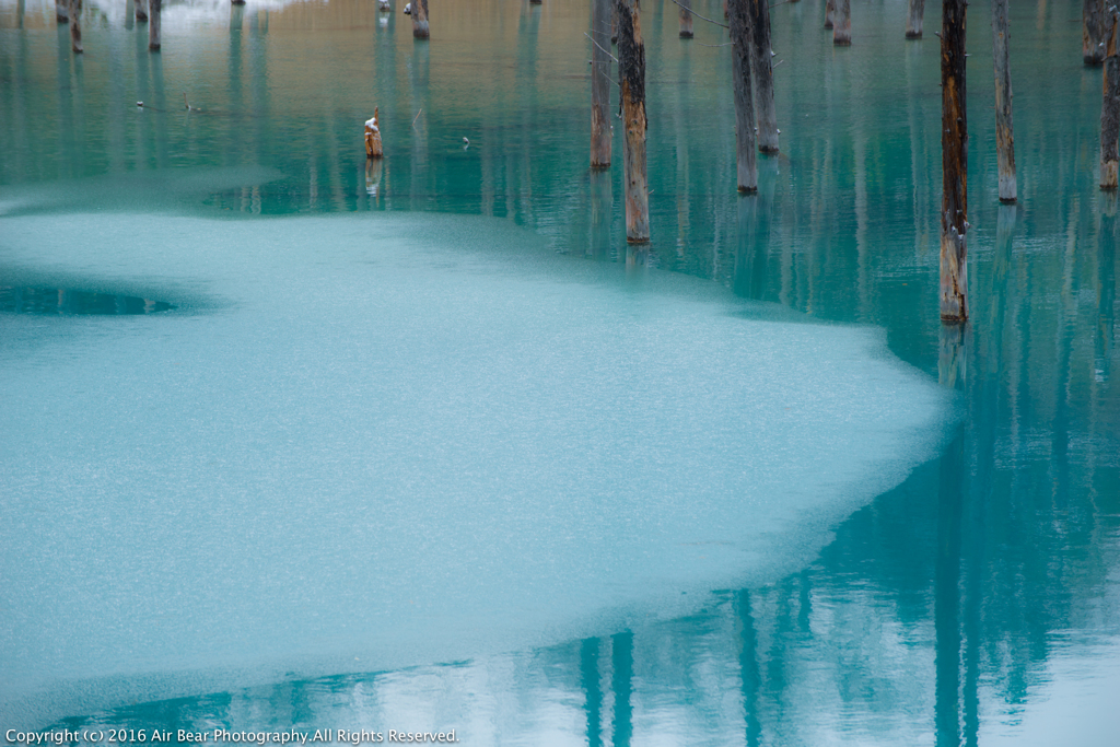 冬の始まり〜青い池