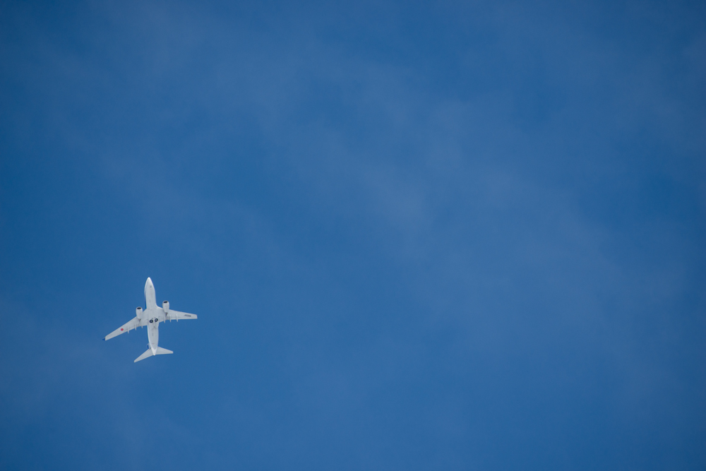空高く