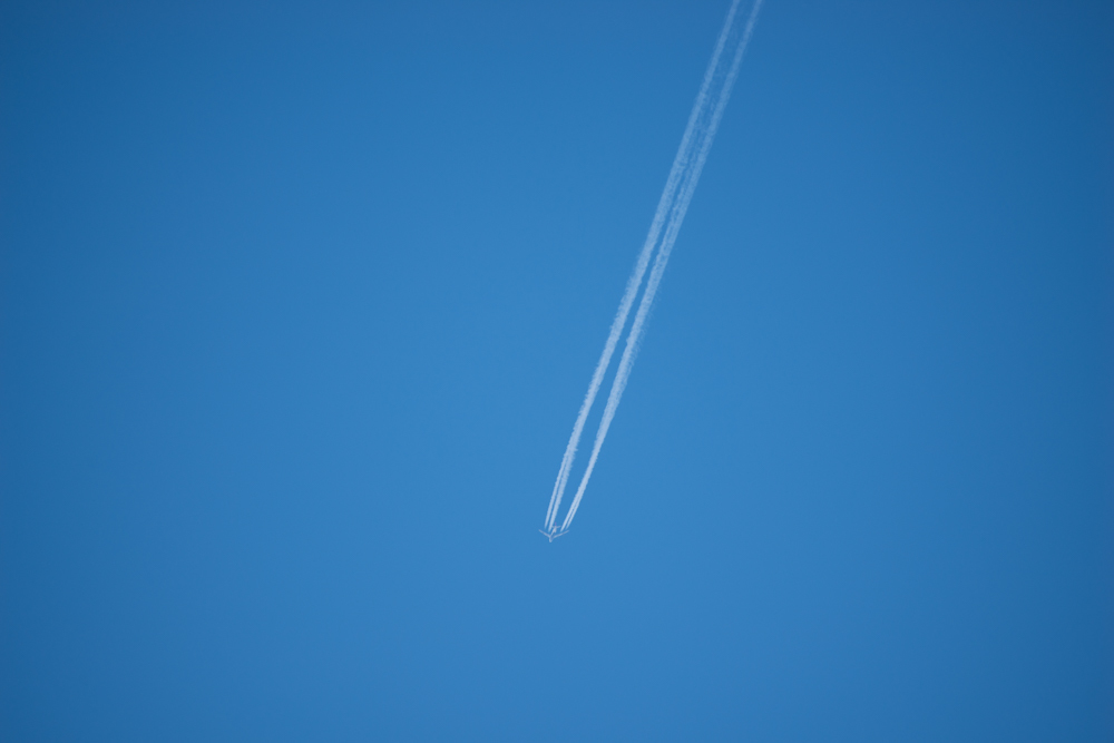 空高し