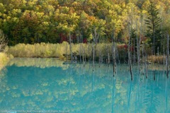 Blue pond in autumn