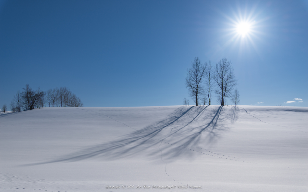 Three trees