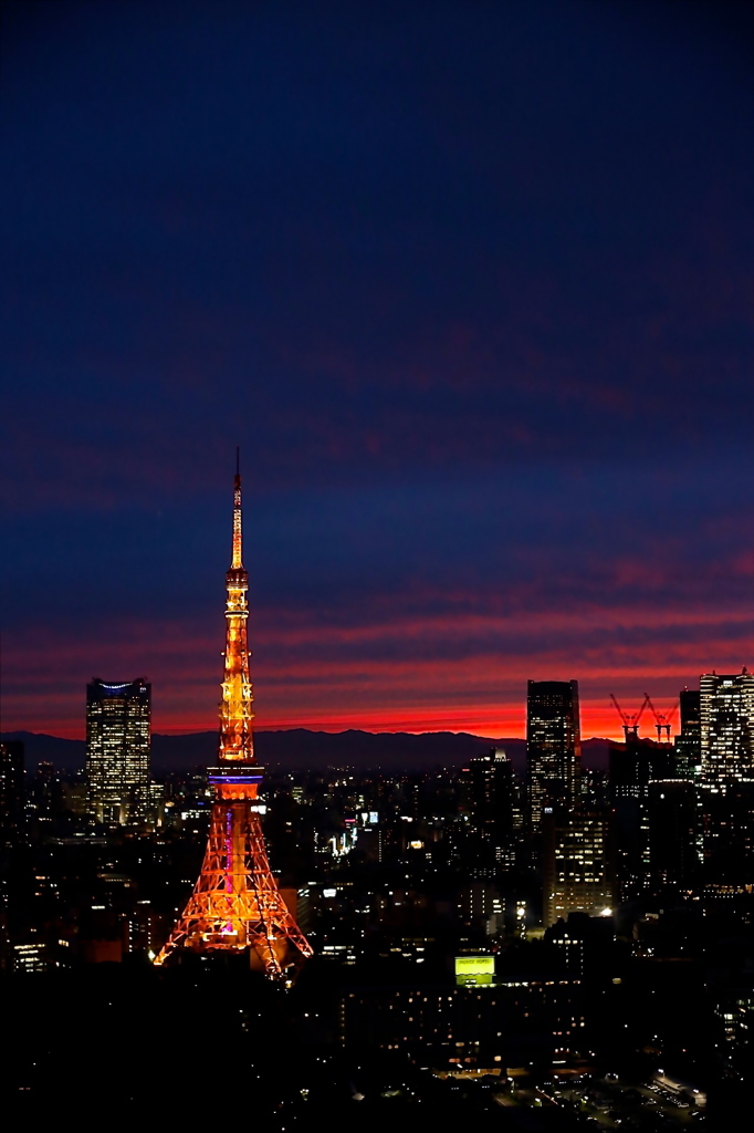 東京タワー