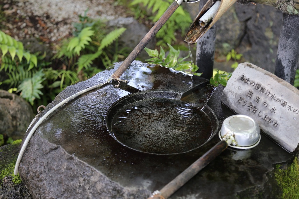 水の都