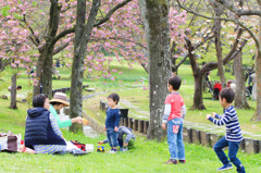 万博記念公園