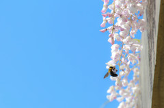 5月のそら・・・