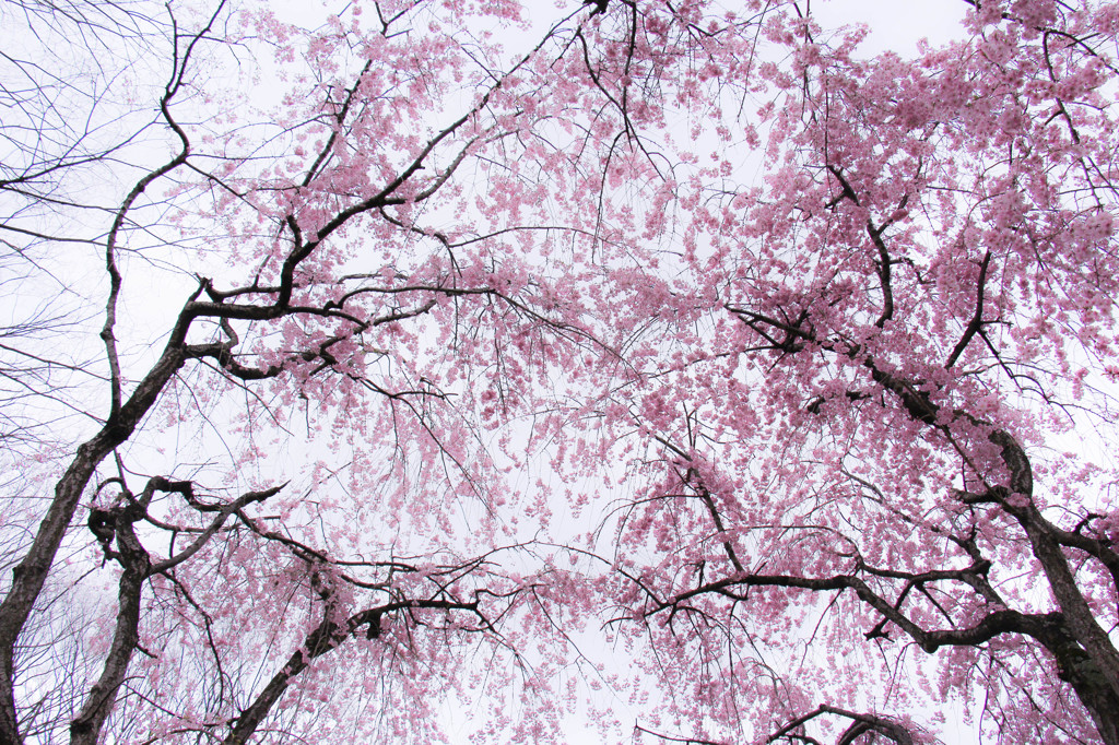 心の中の・・・