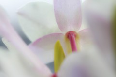 ひとりの時間