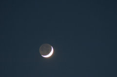 夕方の月