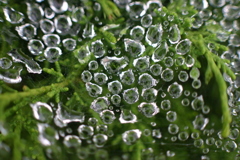 雨上がり