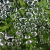 雨上がり