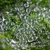 雨上がり