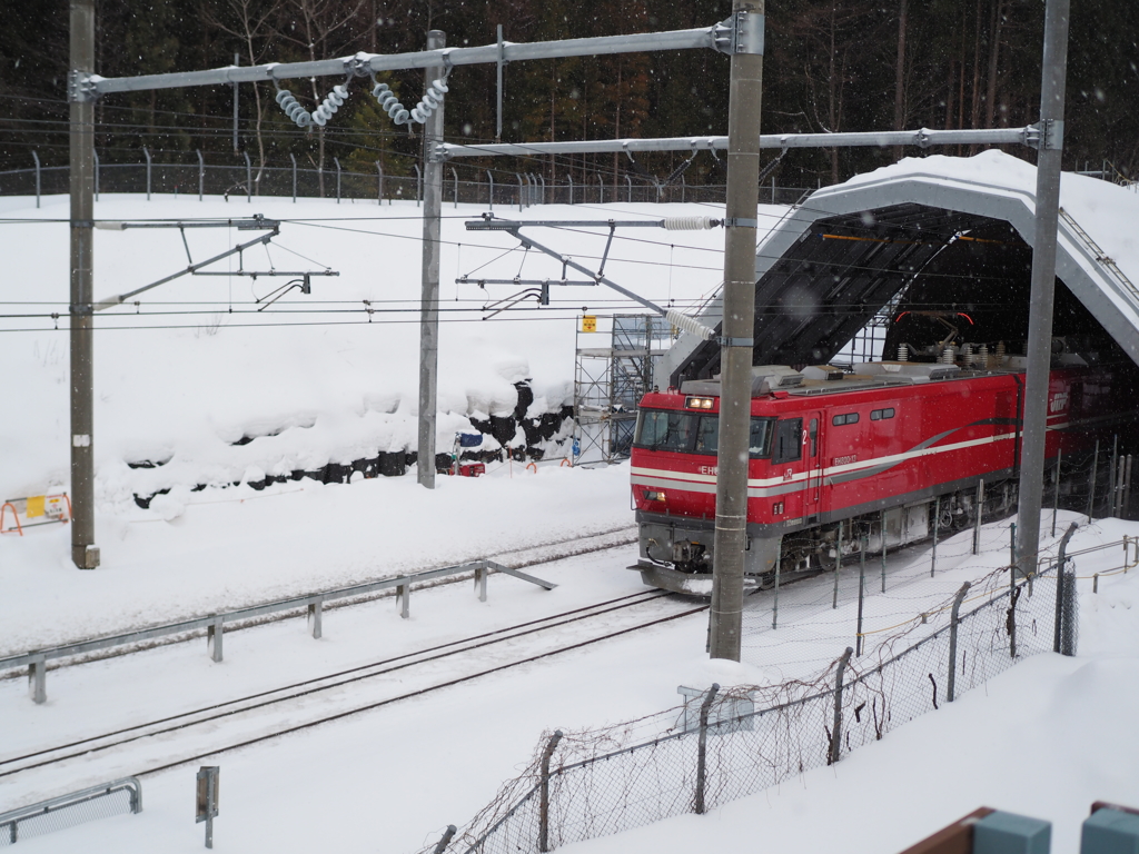 青函トンネルへ向かう貨物列車
