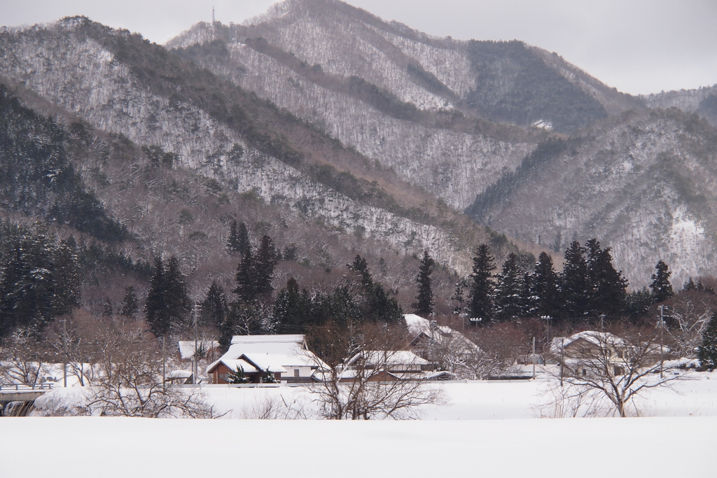 里山の冬景色