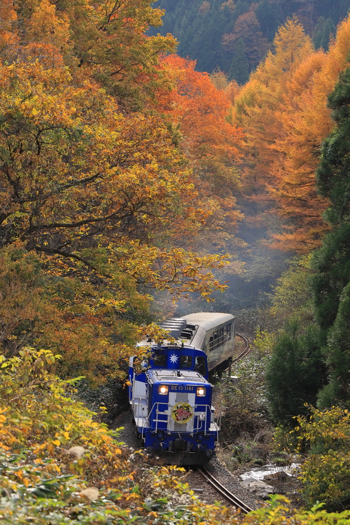 紅葉に染まる「おろち号」